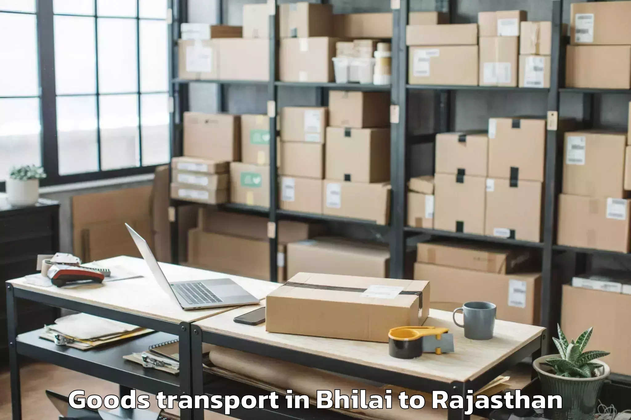 Hassle-Free Bhilai to Udaipurwati Goods Transport